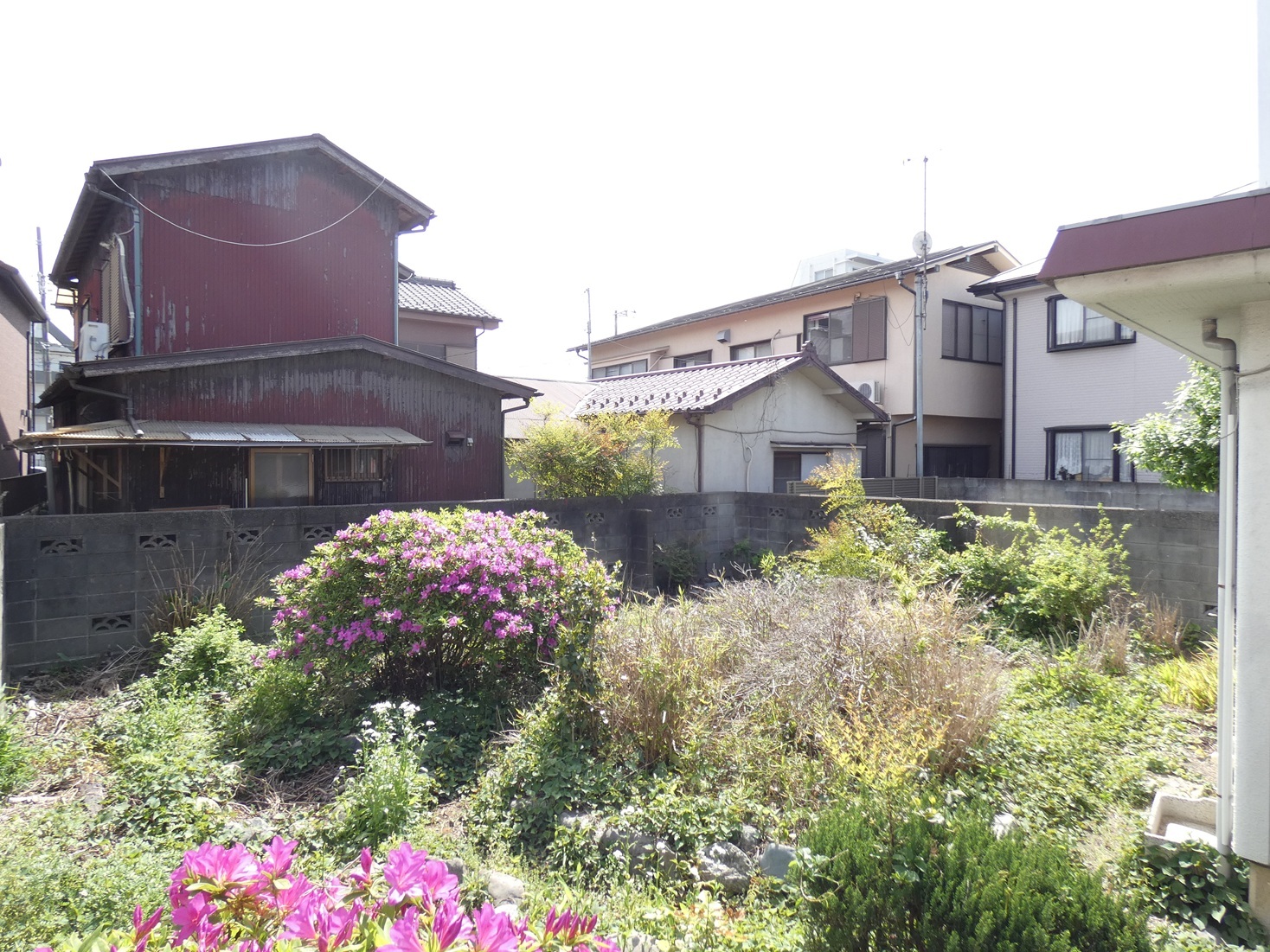 元横山町売地 - 庭先　東側から撮影