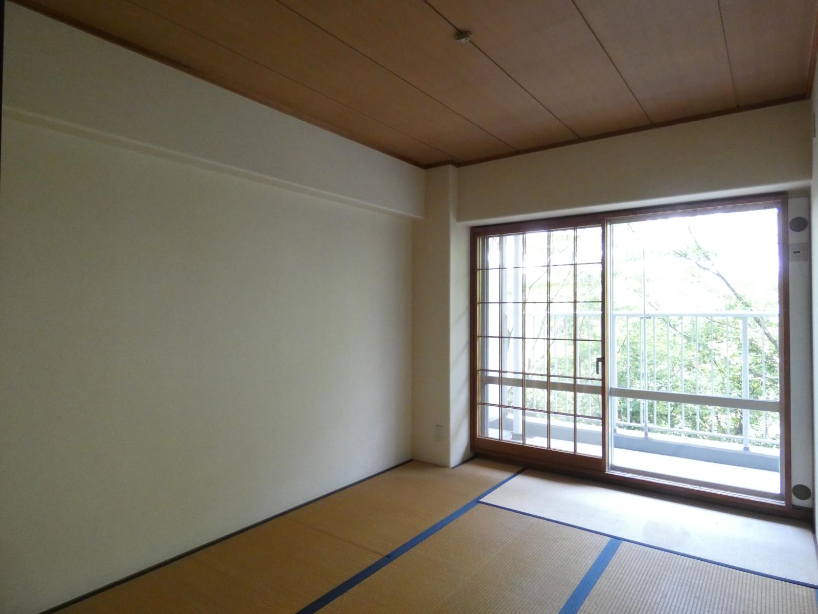 和室6.0帖