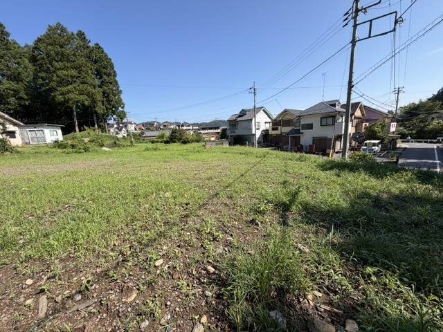 現地写真