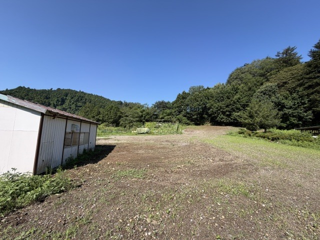現地写真