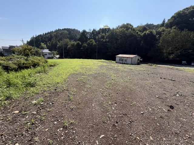現地写真